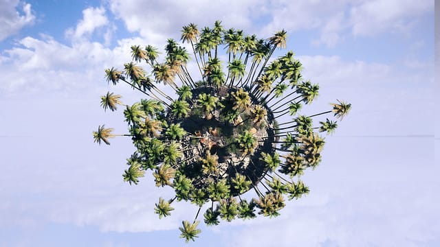 palm tree planet