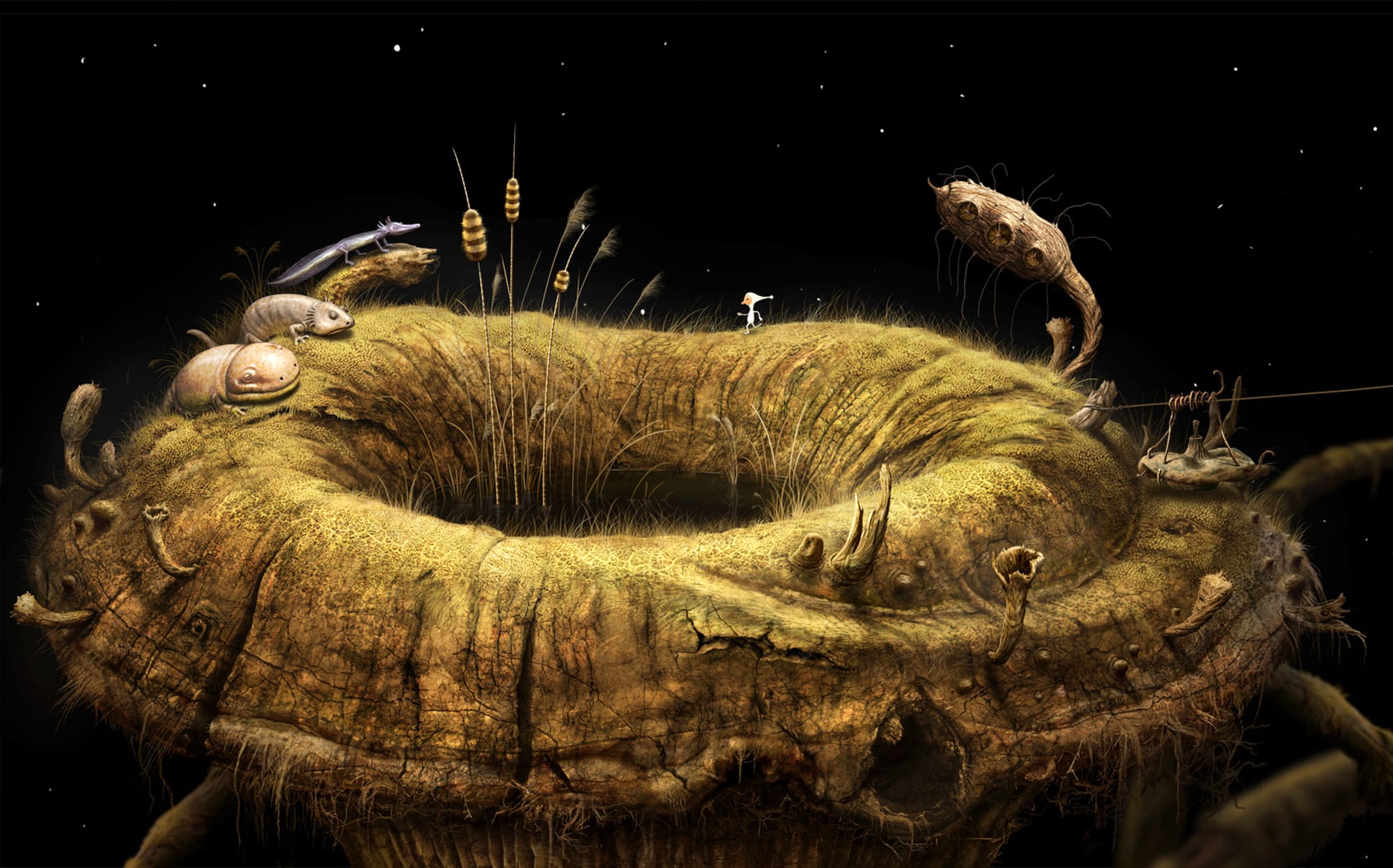 556255070_preview_Samorost3_newts