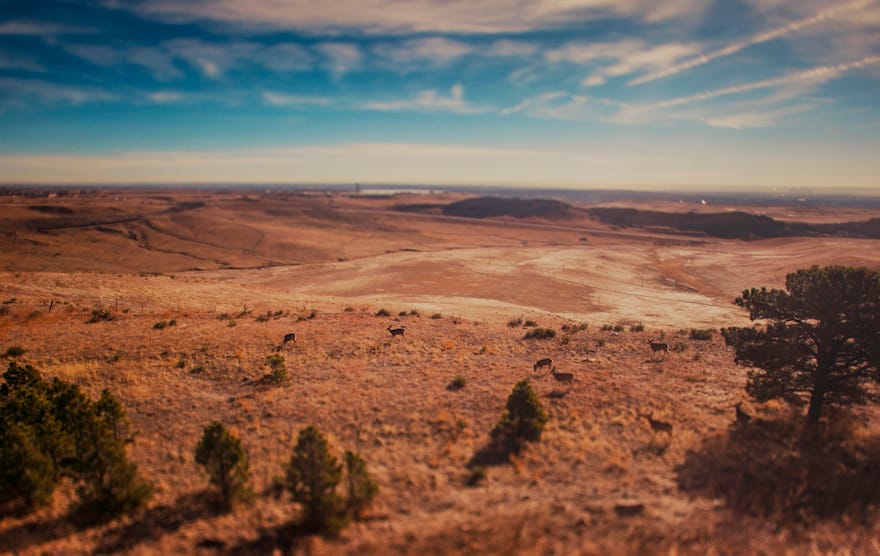 Colorado