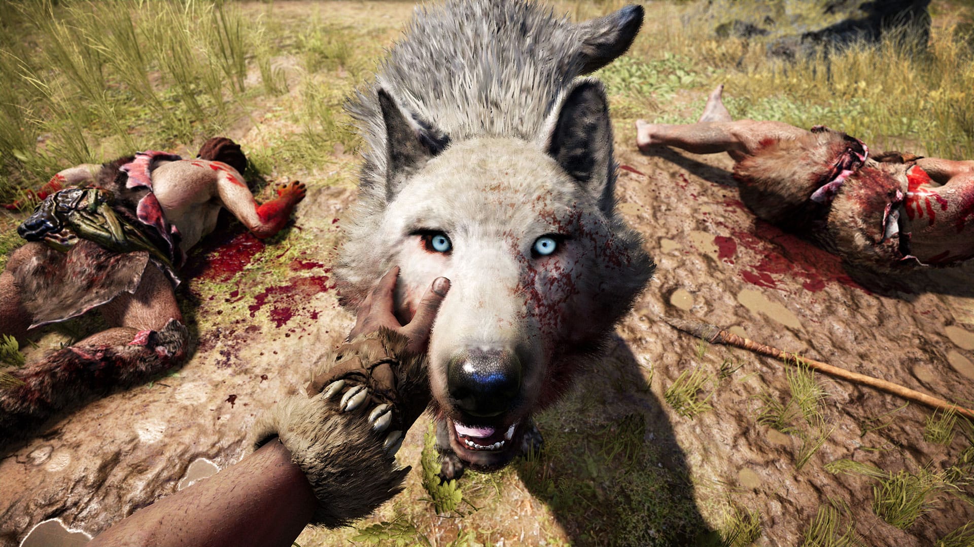 farcry4