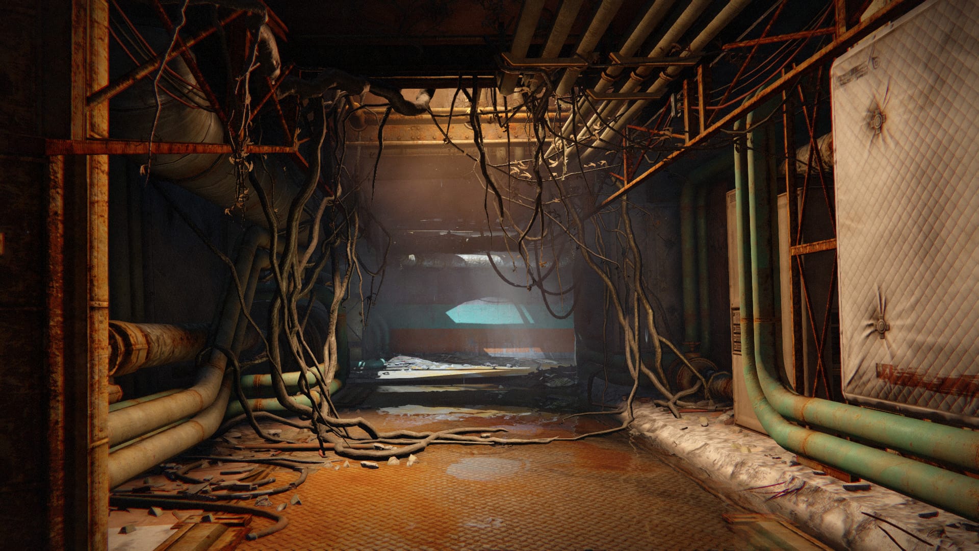 a corridor with overgrown branches around a skylight