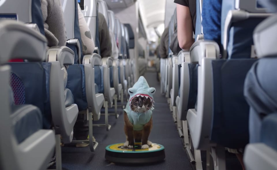 Delta’s meme-ified safety video signals the end of days (of sincerity)