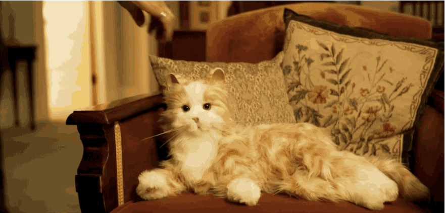 Why visit your relatives when you can send them creepy robot cats?