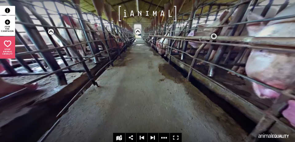 The VR experience that tries to stop you eating meat