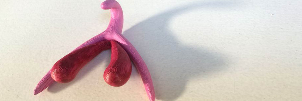 The 3D-printed clitoris opens the door to sexual revolution